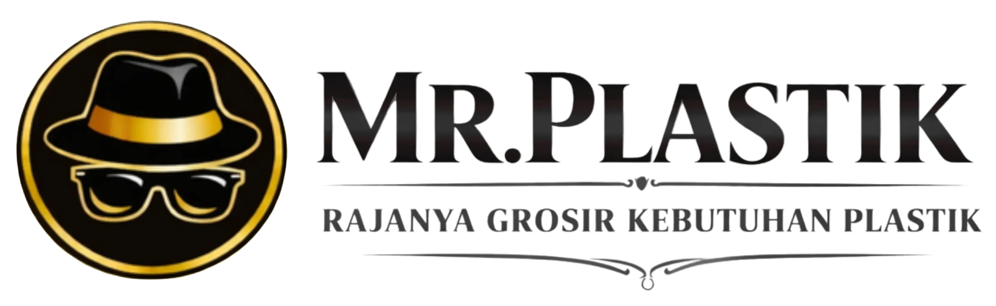 Logo Mr Plastik